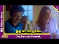 Oru Pattam Poochi Video Song | Kadhalukku Mariyadhai Movie Songs | Vijay | Shalini | Ilayaraja