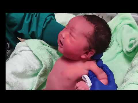 Bathing a newborn baby in hospital / Baby's First Bath