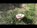 Mark & Howard's Pembrokeshire Coastal Path Episode Nine