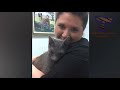 FUN for EVERYONE - Top FUNNY ANIMALS