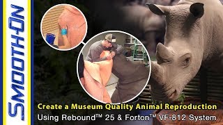 How To Make a Mold of a Rhino for a Museum Display