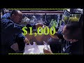 Unboxing Over $1000 Worth of Guppies!!