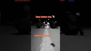 Çiçek Çoktur Ama Gül Başka Insan Çoktur Ama Gardaş Başka