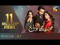 Mohabbat Tujhe Alvida Episode 1 | English Subtitles | HUM TV Drama 17 June 2020