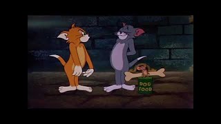 Tom And Jerry Episode 115 Switchin Kitten Part 2