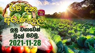 Rividina Arunella -  2021-11-27 | Rupavahini | Agricultural Programme