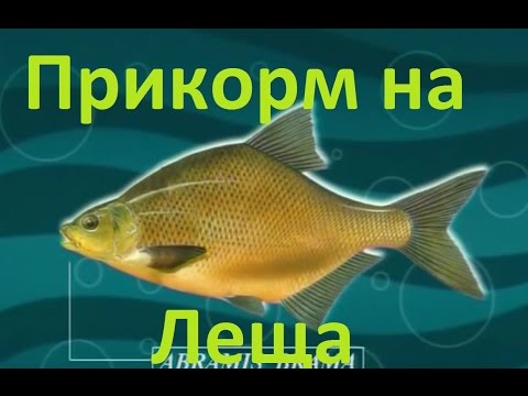 прикормка диалоги о рыбалке отзывы прикормка диалоги о рыбалке отзывы