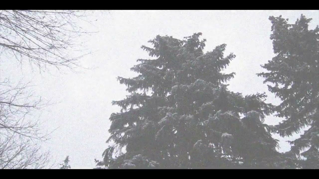 Music Videos - That Nikki You Know