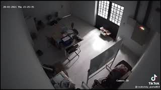 Livegore5179
