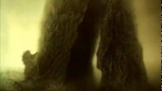 Gobi Bear - Animals