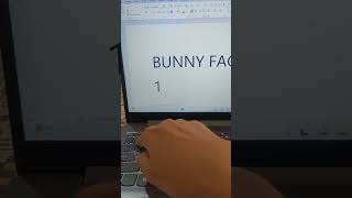 Bunny Face In Ms Word