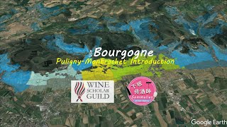Wine Scholar Guild Bourgogne Master-Level Puligny Montrachet An Introduction Burgundy Wine Study