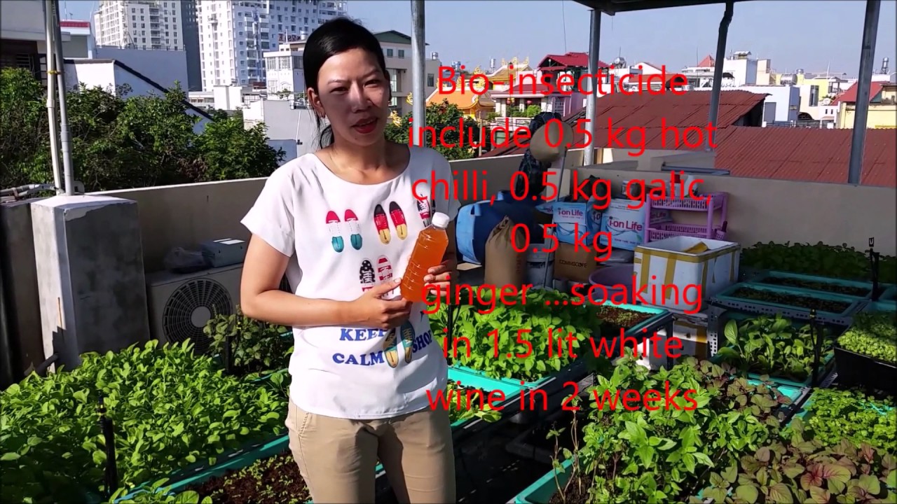Maxresdefault