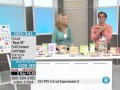 Cricut Best of 2010 Full Content Cartridge