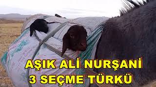 Aşık Ali Nurşani Yabanın Kışı Başka Hasret Mıydın Yolum Düştü Sara Sarpa