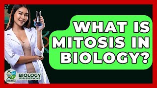 What Is Mitosis In Biology? - Biology For Everyone
