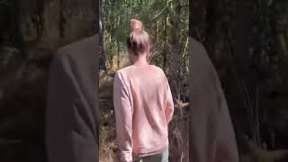 Bigfoot Audio Sounds On An Indian Reservation Long Sasquatch Scream