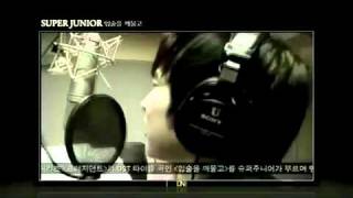 Watch Super Junior Bitting My Lips video