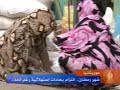 youtube  : شهر رمضان.. التزام بعادات استهلاكية رغم الغلاء في موريتانيا&nbsp;&nbsp;&nbsp;&nbsp; يوتيوب فيديو 