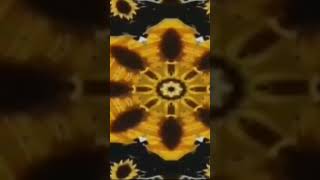 Twinkle Star - Sunflower Kaleidscope 2 - Crying