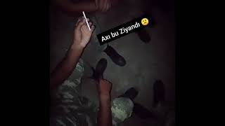 Herbici Həyatı Belədir...