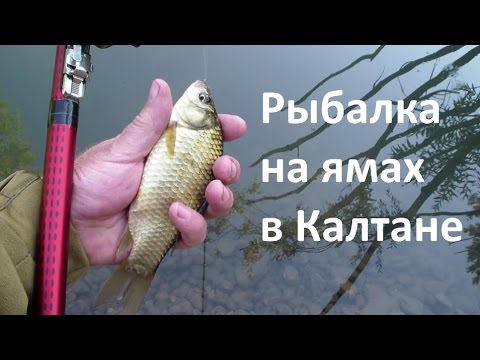 очистка червя к рыбалке видео очистка червя к рыбалке видео
