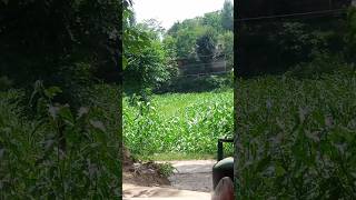 Beautiful View To Kashmir