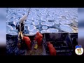 Jobs