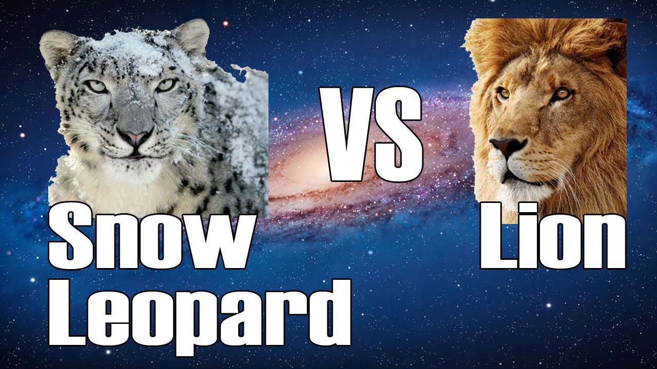 apple snow leopard vs lion