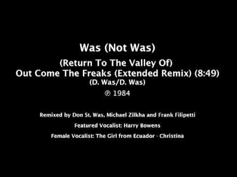 Was (Not Was) (Return To The Valley Of) Out Come The Freaks 12&quot; Remix