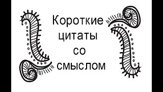 Короткие цитаты со смыслом - Цитаты и афоризмы, фразы и высказывания