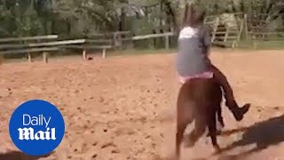 Girl Is Thrown Off Miniature Pony And It Runs Off - Daily Mail