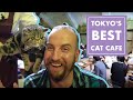 Tokyo's Best Cat Cafe