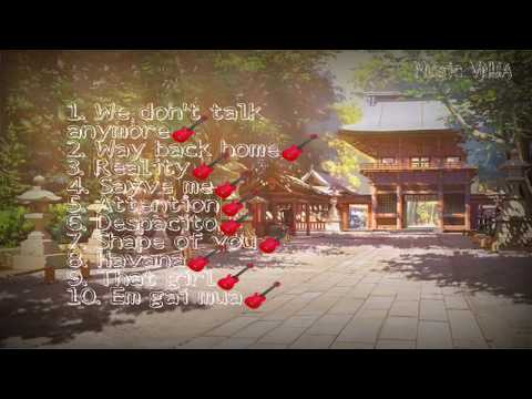 Những Bản Nhạc EDM Sáo Trúc Nhẹ Nhàng Vui Tươi Đưa Bạn Vào Giấc Ngủ
