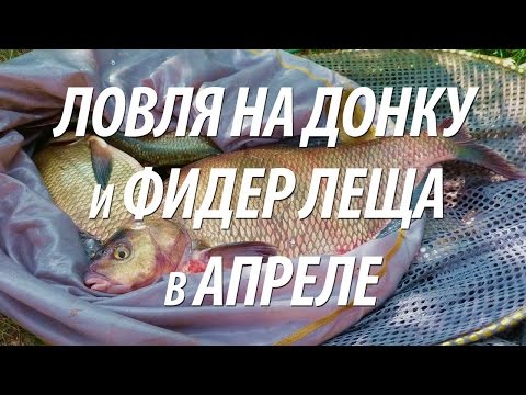 рыбалка на фидер в апреле на леща рыбалка на фидер в апреле на леща