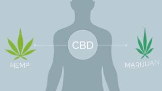 Hemp Cbd Myths Vs Facts