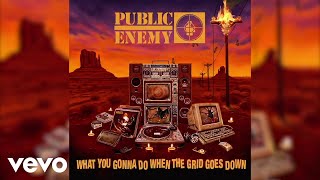Watch Public Enemy If You Cant Join Em Beat Em video