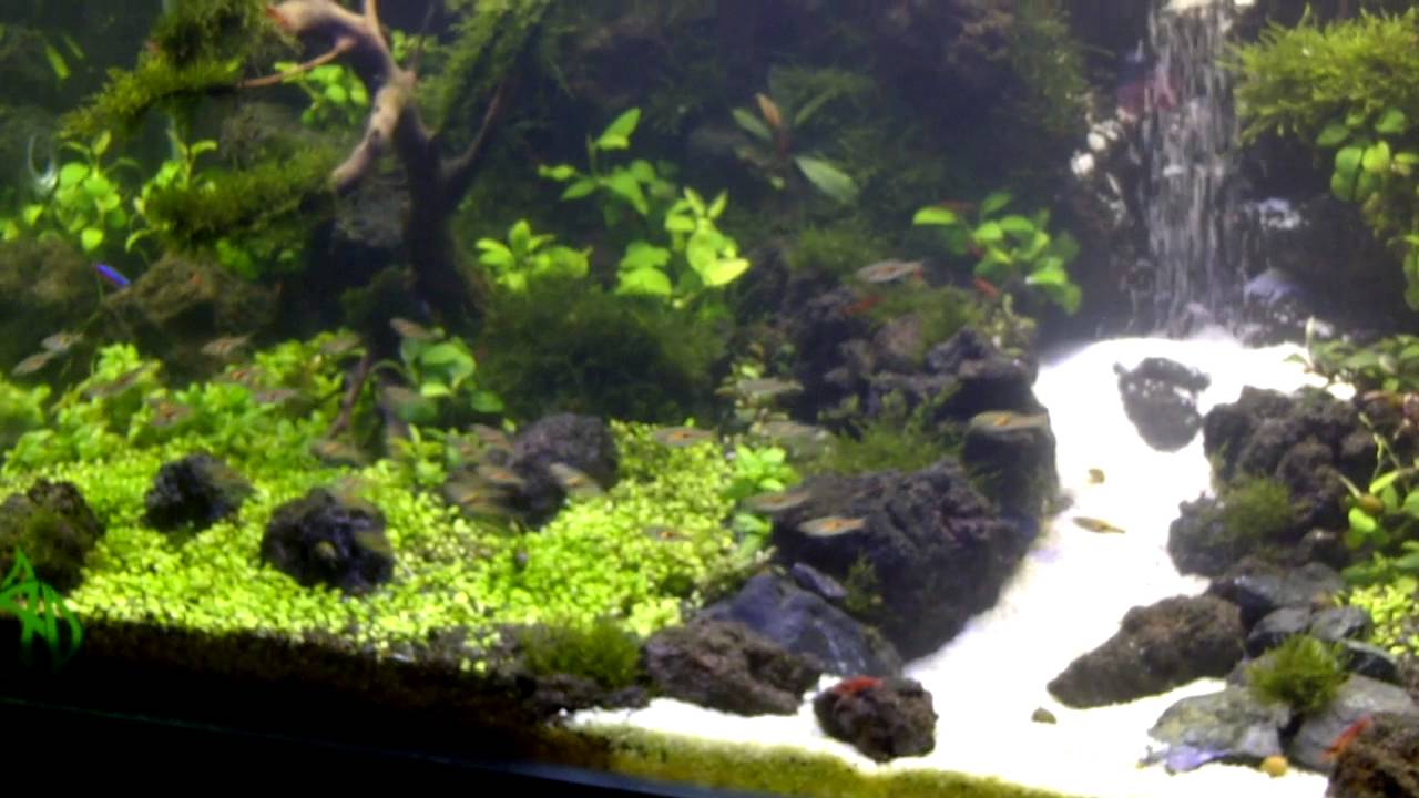 under water waterfall aquascape YouTube