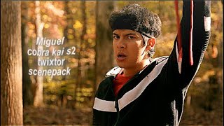 Miguel Cobra Kai S2 Twixtor Scenepack