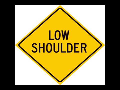 Through The Trees - Low Shoulder (Ryan Levine)