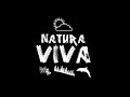 J Diesel-Ghost In The Machine (Original) Natura Viva