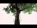 Strangler Fig