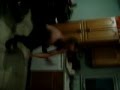 Male Ballet Dancer
