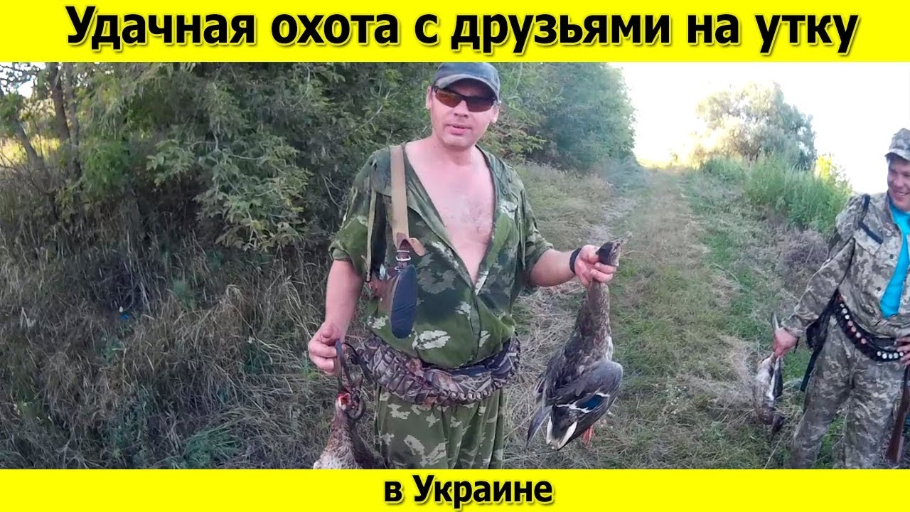 Охота на утку днём Охота на утку днём