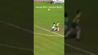d2VWliTF16Y Video Image