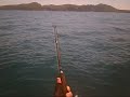 Heaviest Kingfish landed on a Jetski in New Zealand.