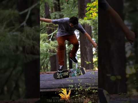 Forest Skateboarding ASMR