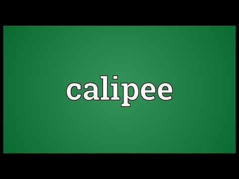 Header of calipee