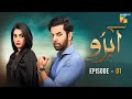 Abru - Episode 01 - ( Eshal Fayyaz & Noor Hassan Rizvi ) - HUM TV