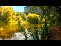 Meditation in Rivendell - The Peaceful Valley - Guided Visualization